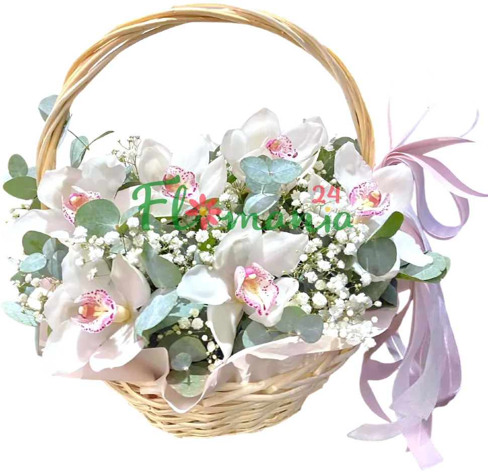 Лунные орхидеи